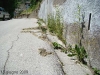 Via loreto tra Capitel e via Marmarole maggio-luglio 2009