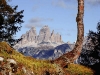 Tre Cime di Lavaredo da una postazione del Parco della Memoria di Pian dei Buoi