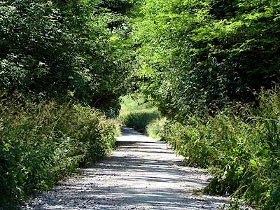 Passeggiata di Ligonte 18 giugno: ogg, ovviamente, è peggio.