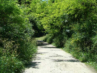 Ancora passeggiata di Ligonte: 18 giugno ...