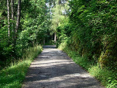 Passeggiata di Costa: 4 luglio; provate dal vivo ...