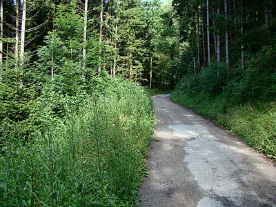 Ancora passeggiata di Costa ...