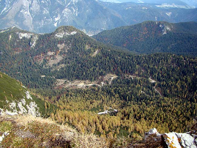 strada silvopastorale di Val da Rin