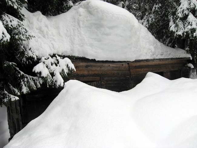 Baracca dei boscador in Val da Rin - Val Poorse - foto Eugenio Calligaro 6 febbraio 2014