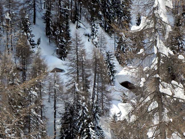 Pian dei Buoi - Tabià de Cianpo de Cros (foto Eugenio Calligaro - 15 feb. 2014)