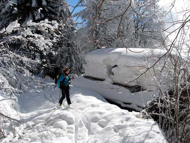 01 Tabià Rous - Traversata da Deppo (Domegge) a Valdarin 23-02-2014 - Foto Eugenio Calli