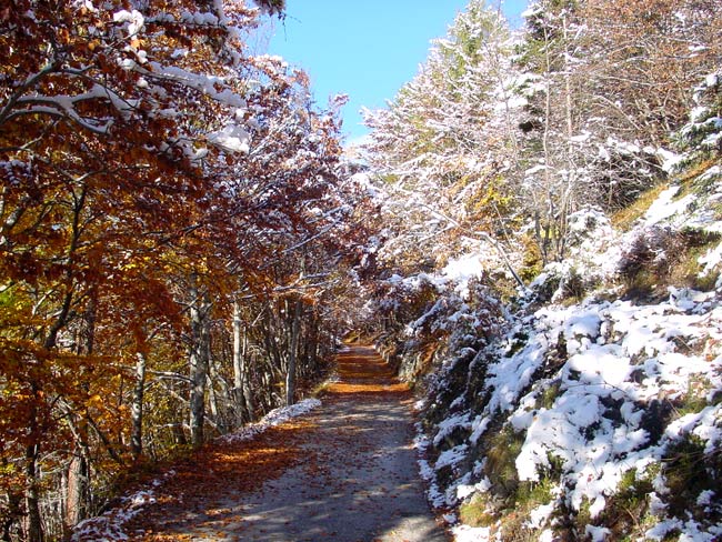 Strada del Genio (per piccina che tu sia...)