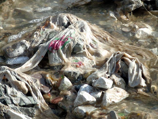 "dal tubo fognario esce acqua pressoché pulita", dicono alcuni... (foto 01)