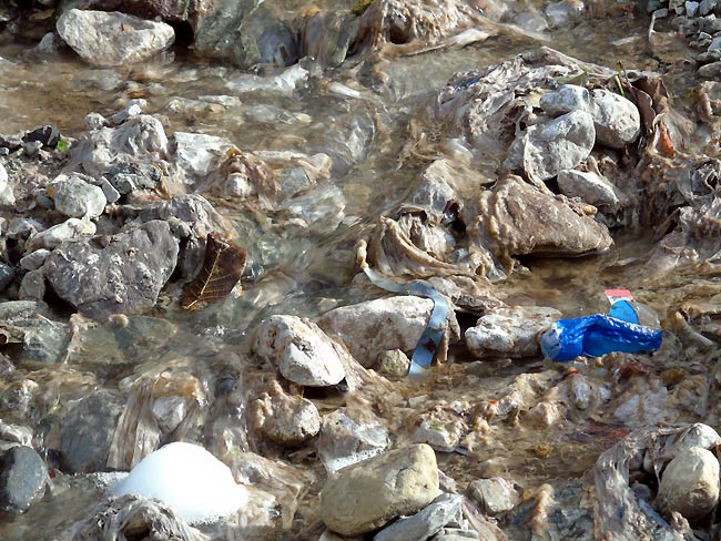 "dal tubo fognario esce acqua pressoché pulita", dicono alcuni... (foto 03)