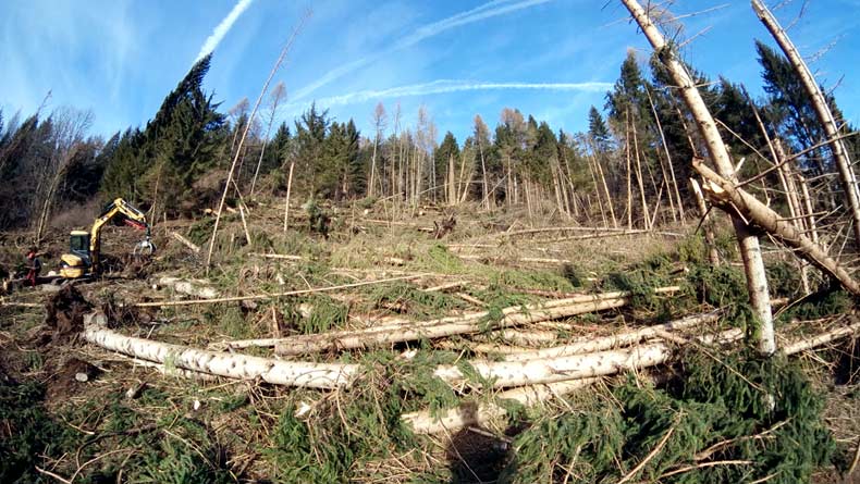 Riva: esbosco degli schianti da vento del 29 ottobre 2018; sopra... ci stanno arrivando...