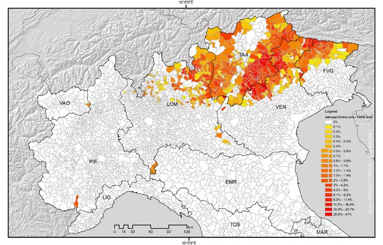 Mappa Geolab Firenze delle aree forestali danneggiate dalla tempesta Vaia