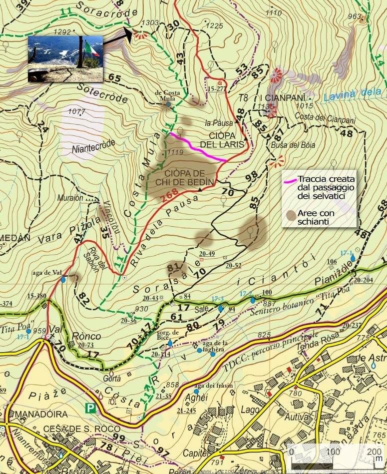 Estratto carta del Parco sentieristico di Lozzo di Cadore relativa a Costa Mula e Soracrode