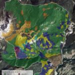 Carte tematiche del territorio di Lozzo di Cadore:: uso del suolo nel passato