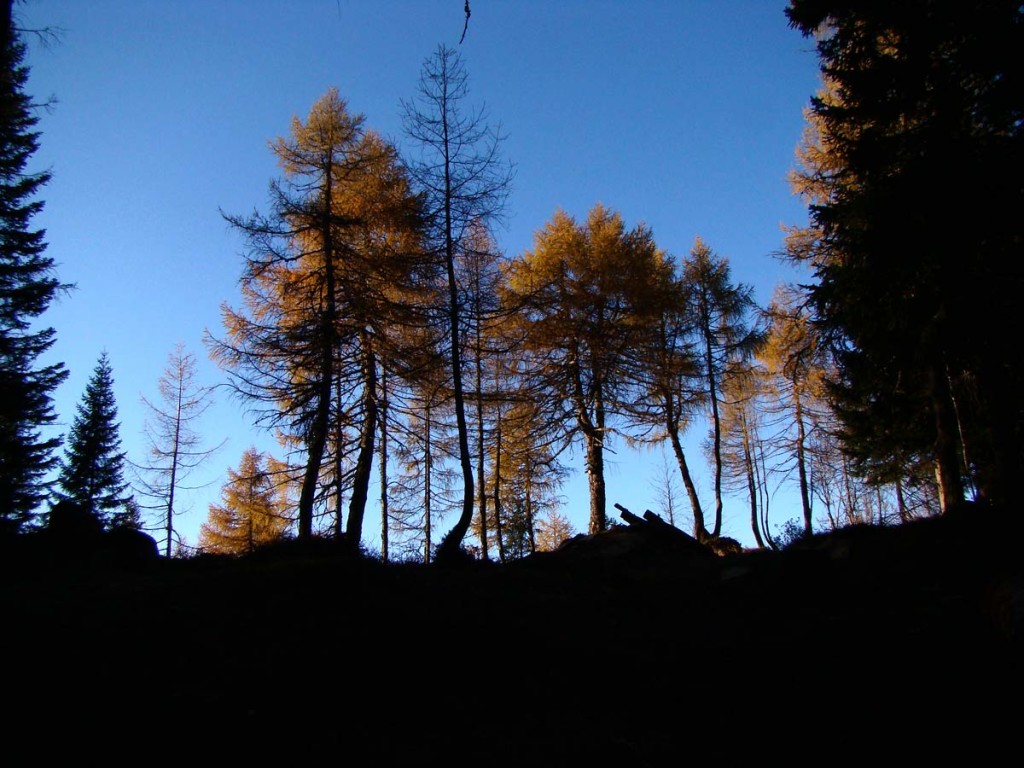 Il Col "de i Laris" al tramonto