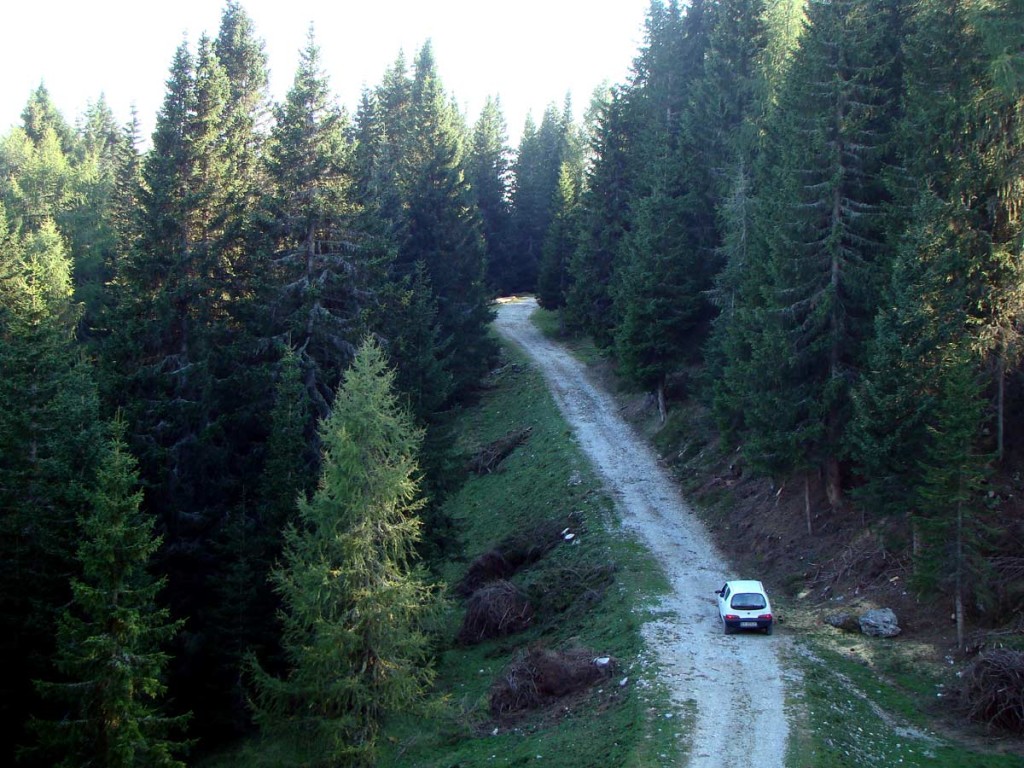 Dalla postazione del Col "de l Festin" verso la strada del Genio