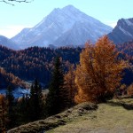 L'Antelao dal piazzale del Forte Alto di Col Vidal