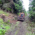 Il trattore in retromarcia per agganciare le piante abbattute