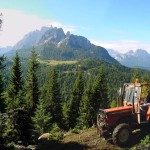 La stessa situazione con in evidenza il pascolo di Pian dei Buoi (la panoramica ha un difetto prospettico tra il Campanile Ciastelin e il M. Ciarìdo)