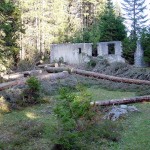 L'edificio durante le fasi di pulizia dalla vegetazione infestante (1#4)