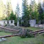 L'edificio durante le fasi di pulizia dalla vegetazione infestante (3#4)