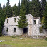 Particolare dell'immagine precedente: la natura fa il suo corso...