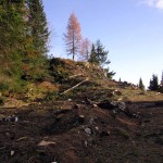 Dall'inizio della trincea verso la stradina che sale al "Tornante de i Peroi" e quindi al Forte Alto