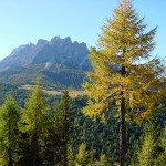 Dal bordo della trincea verso il pascolo di Pian dei Buoi (Polget) ed il M. Ciarìdo
