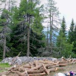 Inizio della trincea durante i lavori di ripristino: tronchi in allestimento e abbruciamento della ramaglia
