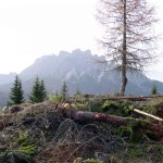 Dal piccolo colle liberato dalla vegetazione si staglia netto il profilo del M. Ciarìdo