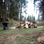 Sulla strada che conduce alla trincea pezzature di tronchi...