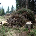 Cumulo di ramaglie pronto per essere bruciato