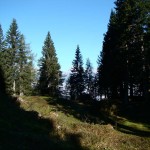 A lato della piazzola, verso nord, le Tre Cime sono celate allo sguardo