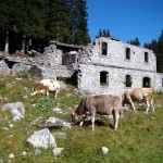 La porzione più a sud della caserma