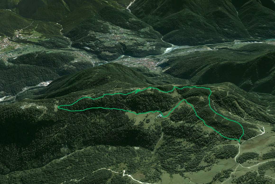 Il Parco della Memoria in 3D (da Google Earth): la dorsale dei Colli da Col Vidal a Soracrepa ripresa da nord; a valle i paesi di Vigo, Laggio, Pelos, Lorenzago e, di qua dal Piave, Lozzo di Cadore